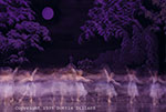 dottie dillard photography