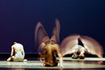 dottie dillard photography