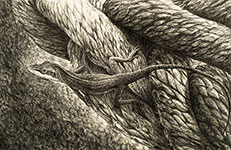 jim creal art