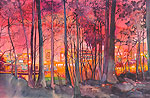 lynn greer