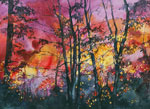lynn greer