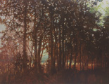 scott cunningham art