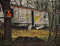 scott quinn artist
